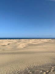 Fototapeta na wymiar dune landscape