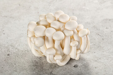 Japanese Shimeji mushroom for cooking