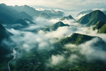 Foggy landscape in the jungle. Fog and cloud mountain