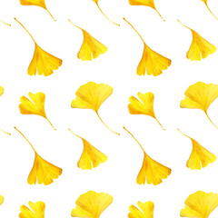 Naklejka premium Seamless pattern of ginkgo biloba leaves. Yellow plants on white background. Hand drawn watercolour illustration.