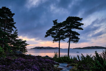 Sonnenuntergang, Abendstimmung in Schweden am Meer mit Ruderboot, Bäumen, Insel, Heidekraut 