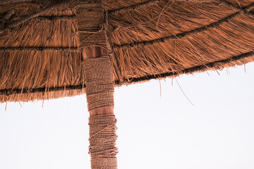 parasol