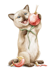 Watercolor cute Christmas smiling little siamese cat kitten character play with Christmas ball toy isolated on white background. Hand drawn illustration sketch