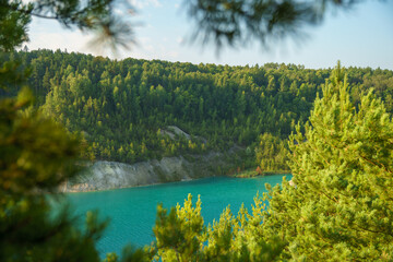 View of the lake among the lush green trees in the forest. Trees grow along the river and are reflected in the clear water. Natural landscape in the forest. River in the forest. uncontaminated nature