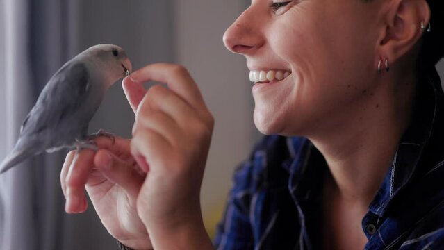 Happy woman petting parrot bird at home - Owner and animal friendship and domestic life concept