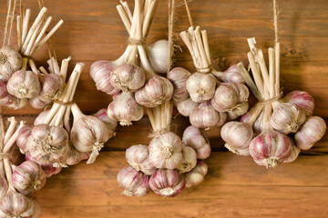 Harvested garlic hanging in bundles on wooden wall. Garlic drying. Selective focus.