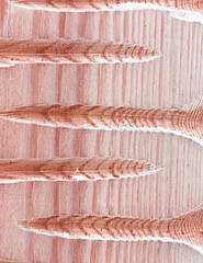 wooden board with carvings close up