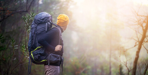A young man with a backpack and camping equipment stands on the rocks and looks at the beautiful landscape in the sun, at the trees in a mountain gorge. Trekking the trail in the mountains.
