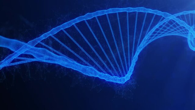 3d animation with blue colored dna strand rotates and decay by the chromosomes and moleculas. Genetics helix of dna chain include the human genome code with important genetic information, cg render.