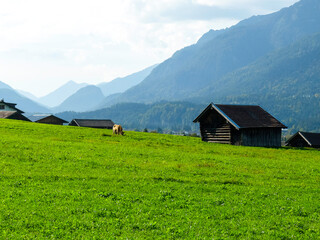 A wooden shack for storing hay in the mountains around Garmisch Partenkirchen. A cow grazes on the...