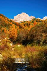 Incredible view of yellow trees illuminated by the rising sun. Colorful autumn morning in Dolomite Alps, Val Gardena location, Italy. Beauty of nature concept background.