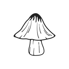 Mushroom Illustration, Mushroom Graphic, Red Mushroom, Fungi, Fungi Clipart, Mushroom Clipart, Food Ingredient, Cooking Mushroom, Vector Illustration Background	