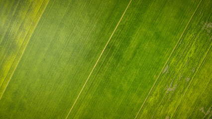 The aerial view of the landscape of Peninsular Malaysia