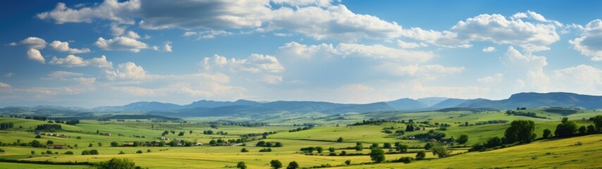 Fototapeta na wymiar Expansive lens, countryside springtime, fields of green, colorful wildflowers, roll seamlessly into the horizon, panorama, lush green meadows, dotted with trees, clear blue sky, fluffy white clouds