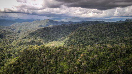 Fototapeta na wymiar The aerial view of Royal Belum State Park in Malaysia