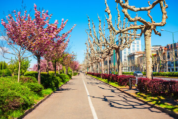 Naklejka premium Public park in Turin city, Italy