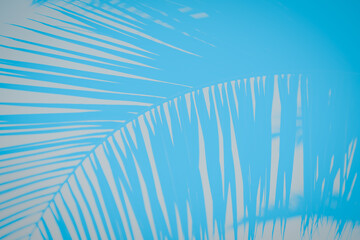 Turquoise blue background with palm branch pattern