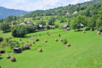 Haystacks at mountain, during summer time