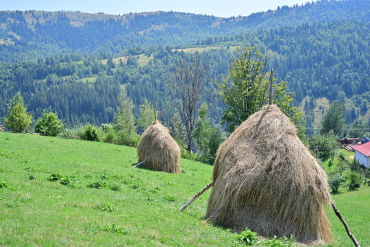 Haystacks at mountain, during summer time