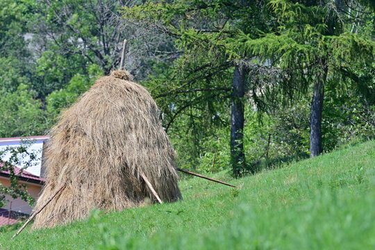Haystacks at mountain, during summer time