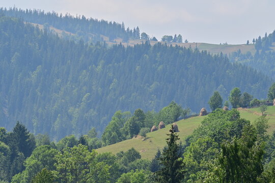 Haystacks at mountain, during summer time