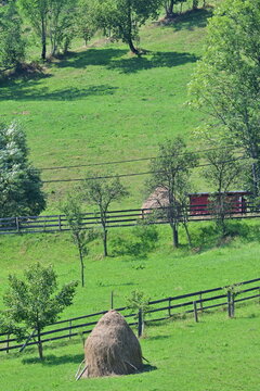 Haystacks at mountain, during summer time