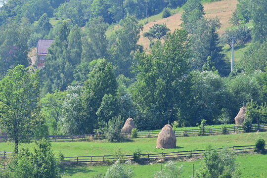 Serene Summer Mountain Landscape: Vibrant Haystacks Adorning Lush Green Grass on a Cloudless, Sun-Kissed Day Radiating Peace and Joy