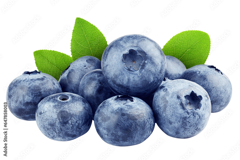 Canvas Prints blueberry isolated on white background, full depth of field