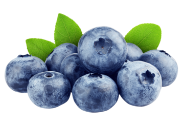 Blueberry isolated on white background, full depth of field