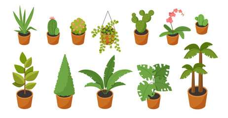 Isometric plants vector set