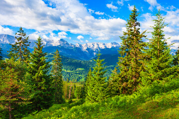Fototapeta na wymiar Zugspitze, Alpspitze Alps mountains in Bavaria, Germany