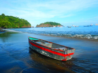 Costa Rica sea life