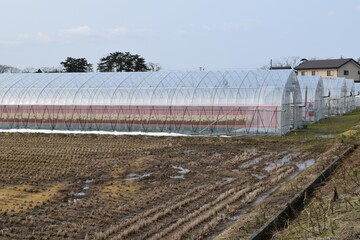 農業用ビニールハウス