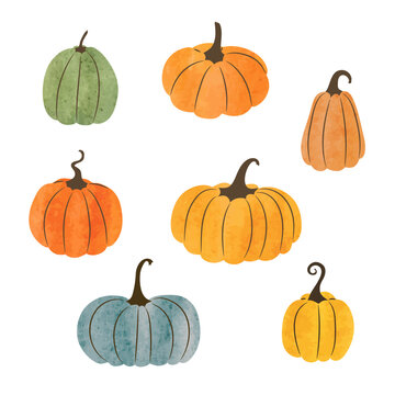 Set of pumpkins. Vector watercolor pumpkin illustration for Halloween or Thanksgiving day