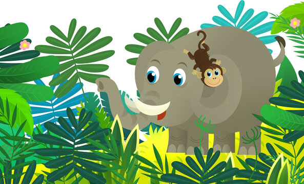 Cartoon wild animal happy young elephant with other animal friend in the jungle isolated illustration for children