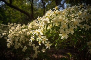 Fototapeta premium Nature's Bounty Side-angle shot of a flourishing cucumber tree in full bloom, a sight of beauty and abundance