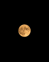 Obraz premium beautiful capture of the super blue moon with a very tight zoom lens and a dark background all around at night