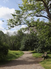 path in the park