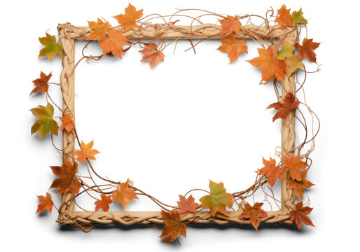 picture frame braided with autumn dry orange curly ivy with shadow, png file of isolated cutout object on transparent background.