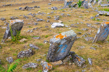 Abandoned Jewish cemetery in the village of Vadul-Rashkov Moldova. Background with selective focus