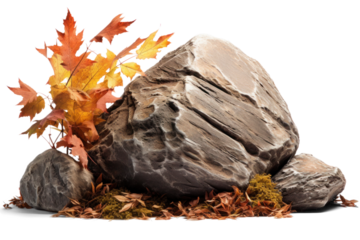 stone rock with dry autumn grass around and orange leaves, png file of isolated cutout object on transparent background.