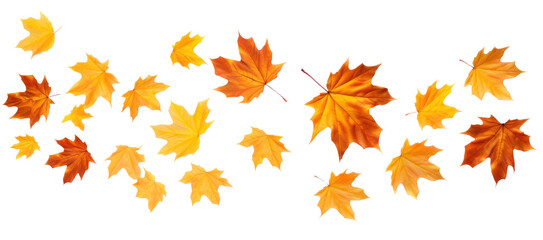 Flying autumn dry red orange maple leaves, png file of isolated cutout object on transparent background.