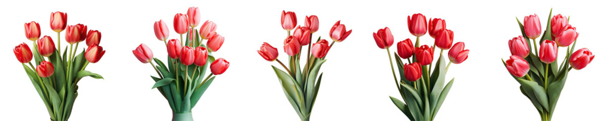 Png Set A bouquet of red tulips on a transparent background