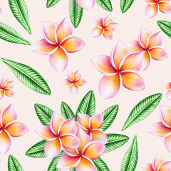 Watercolor seamless pattern with realistic tropical illustration of plumeria flowers with leaves isolated on white background. Beautiful botanical hand painted frangipani clip art. For designers, 