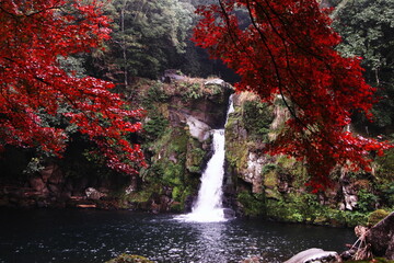 Fototapeta na wymiar 滝のある秋の風景
