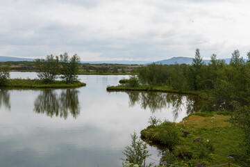 Fototapeta na wymiar Swampy Landscape in Thingvellir National Park, Iceland.