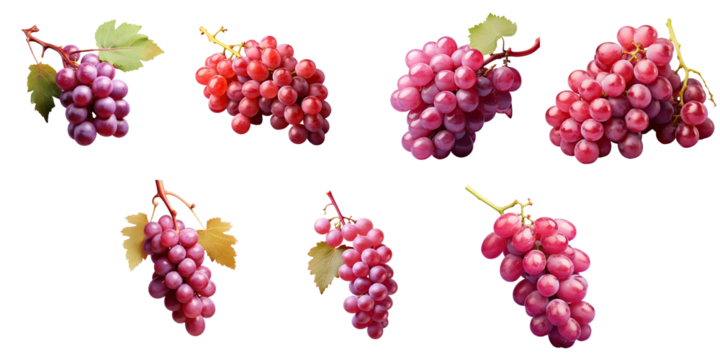 Png Set Red grapes on a transparent background