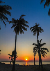 beach with sunset in the afternoon, beach with coconut trees, java indonesia