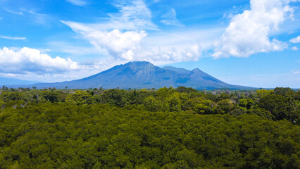 Mangrove forest with a background of Mount Baluran in Baluran National Park, Java, Indonesia