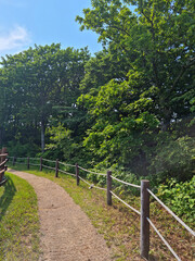 
It is a forest path with a fence.